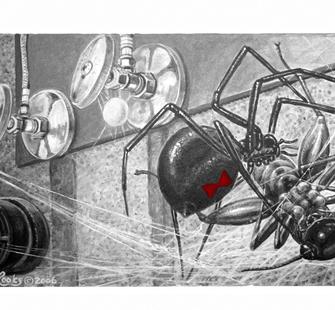 black_widow